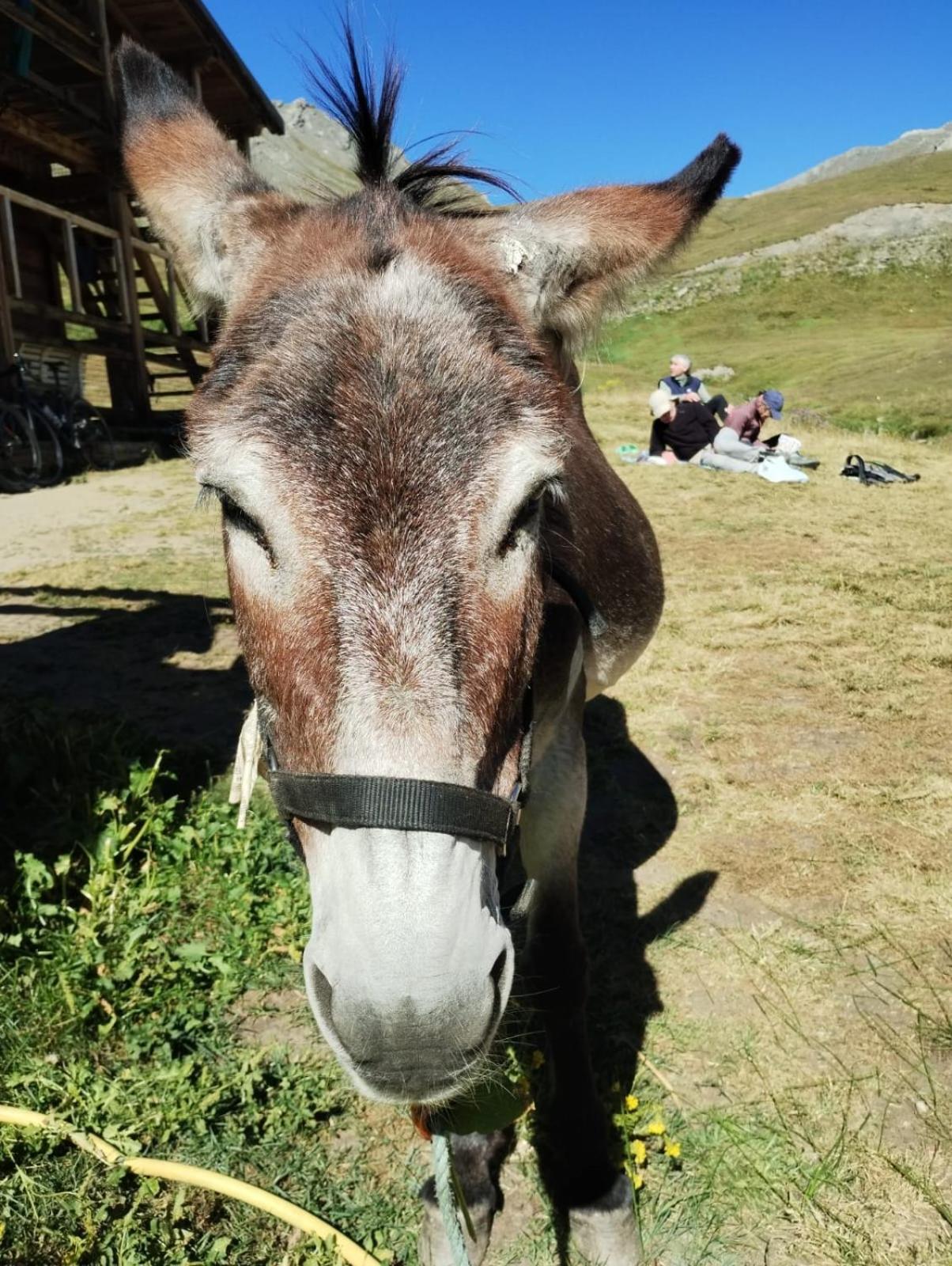 Locazione Turistica Varaita-Brossasco Dış mekan fotoğraf