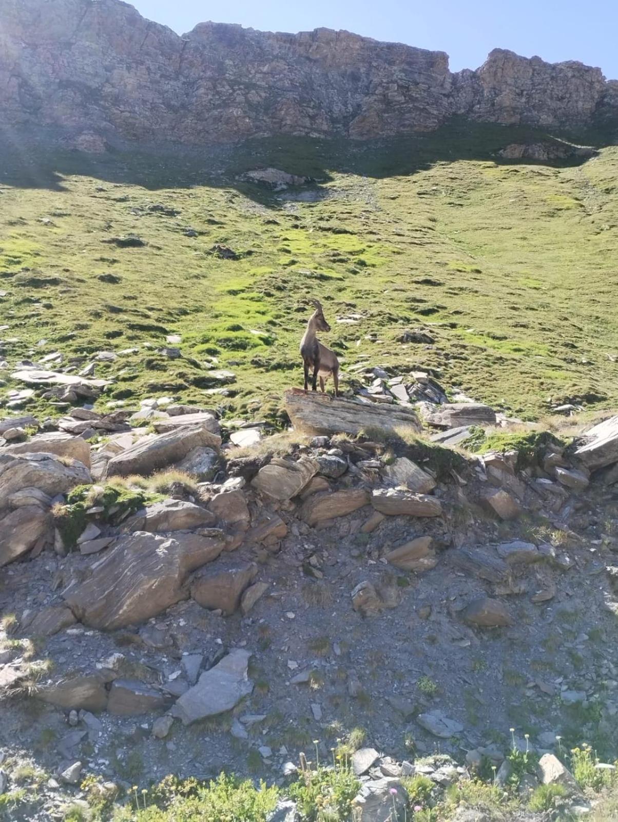 Locazione Turistica Varaita-Brossasco Dış mekan fotoğraf